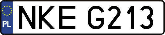 NKEG213