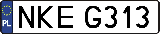 NKEG313