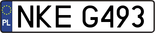 NKEG493