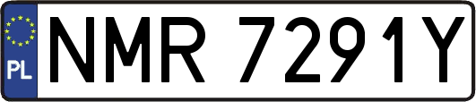 NMR7291Y