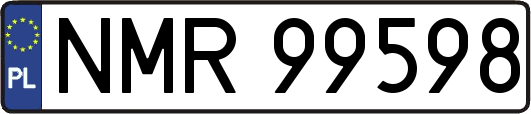 NMR99598