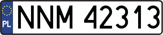NNM42313