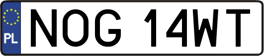 NOG14WT