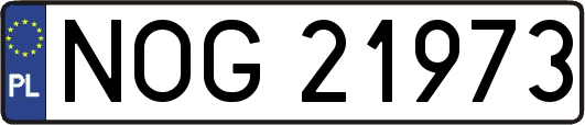 NOG21973