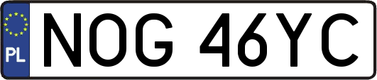 NOG46YC