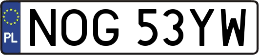 NOG53YW