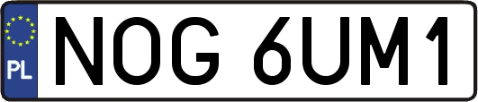 NOG6UM1