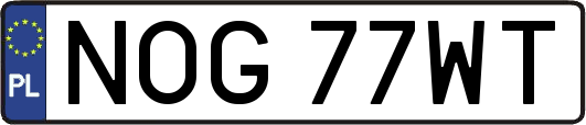 NOG77WT