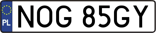 NOG85GY