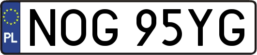 NOG95YG