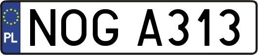 NOGA313