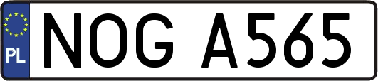 NOGA565