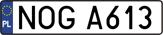 NOGA613