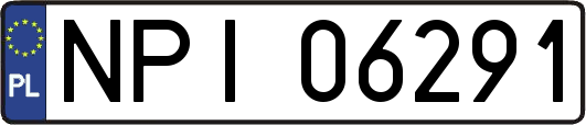 NPI06291