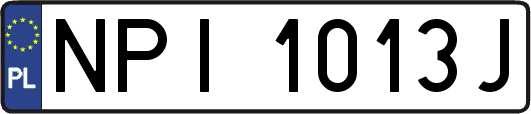 NPI1013J