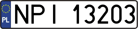 NPI13203