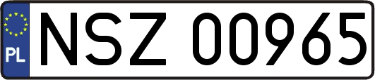 NSZ00965