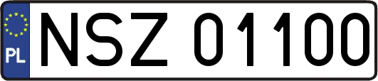 NSZ01100