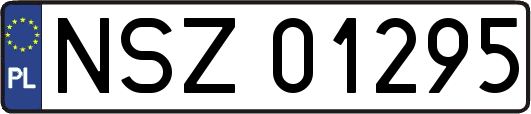 NSZ01295