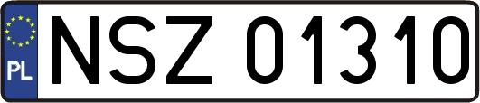 NSZ01310