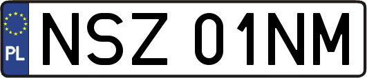 NSZ01NM