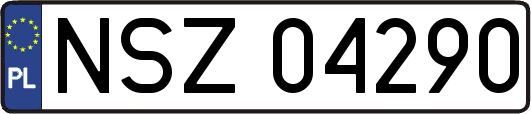 NSZ04290