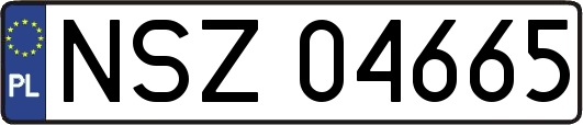 NSZ04665