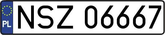 NSZ06667