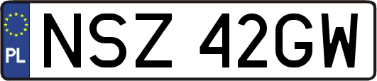 NSZ42GW