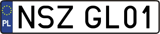 NSZGL01