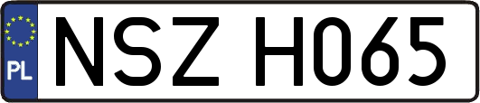 NSZH065