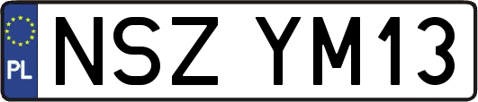 NSZYM13