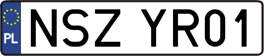 NSZYR01