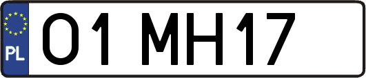 O1MH17