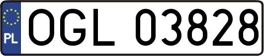 OGL03828