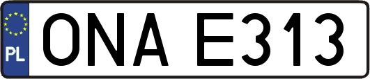 ONAE313