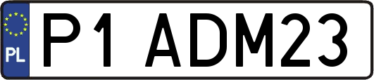 P1ADM23