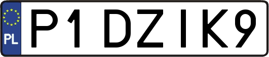 P1DZIK9