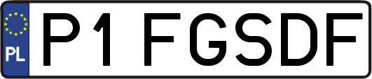 P1FGSDF