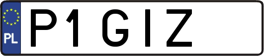 P1GIZ