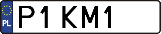 P1KM1