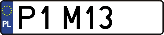 P1M13