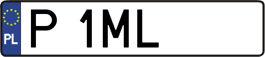 P1ML