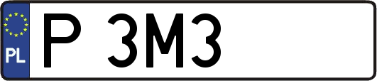 P3M3