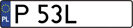 P53L