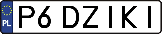 P6DZIKI