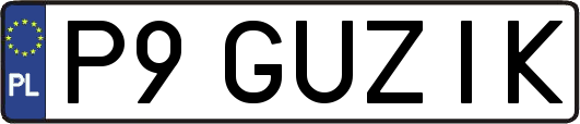 P9GUZIK