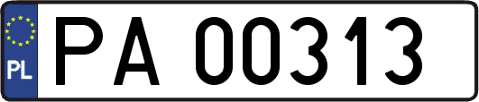 PA00313