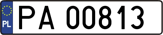 PA00813