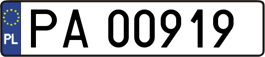 PA00919